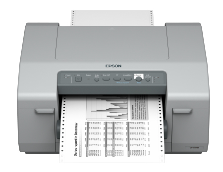 Epson GP-M831 Nadeldrucker 720 x 720 DPI