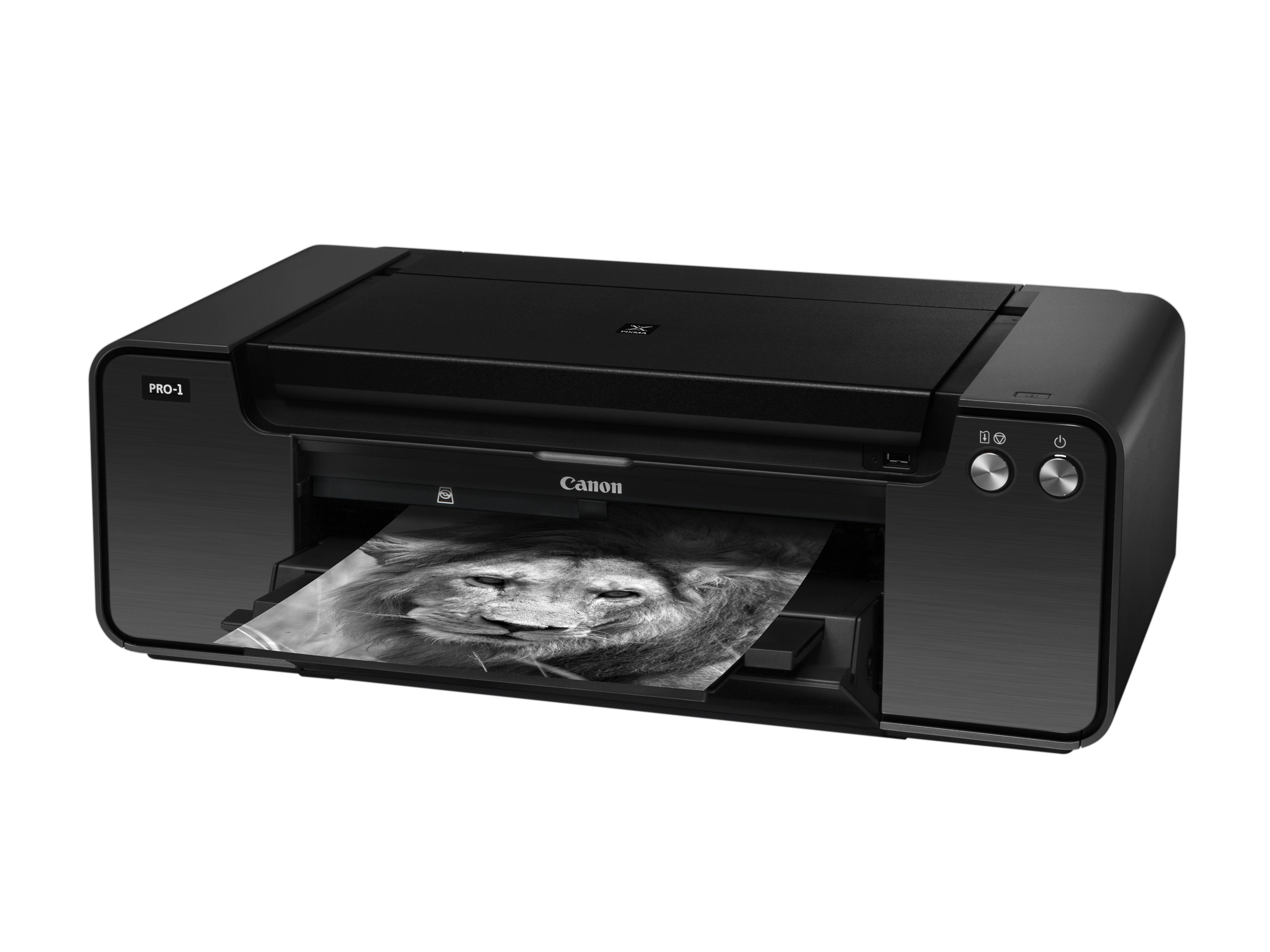 Canon PIXMA PRO-1 Fotodrucker Tintenstrahl 4800 x 2400 DPI A3+ (330 x 483 mm)