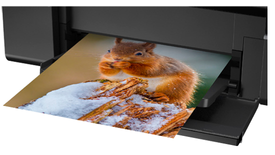 Epson L805 Tintenstrahldrucker Farbe 5760 x 1440 DPI A4 WLAN