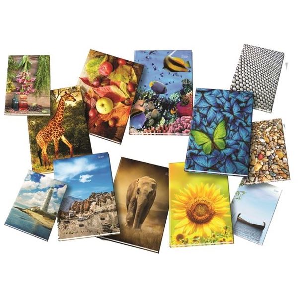 Protokollbuch A4, liniert, 192 Blatt