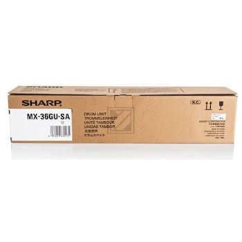 Sharp Fotoleitertrommel (MX-36GUSA)